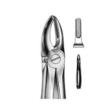 Dental Forceps English Pattern Fig#2