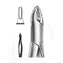 Dental Forceps American Pattern Fig.1B