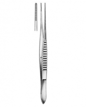 Delicate Forceps
