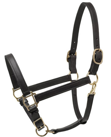 Horse Halter