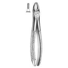 Dental Forceps English Pattern Fig#37