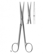 Dissecting Scissors