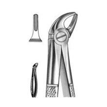 Dental Forceps English Pattern Fig#38