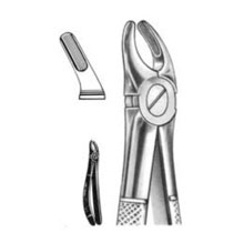 Dental Forceps English Pattern Fig#39