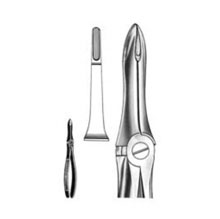 Dental Forceps English Pattern Fig#41