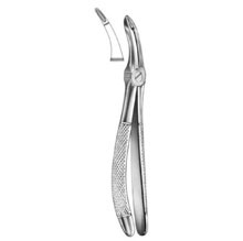 Dental Forceps English Pattern Fig#44