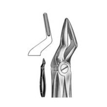Dental Forceps English Pattern Fig#51