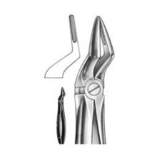 Dental Forceps English Pattern Fig#51A
