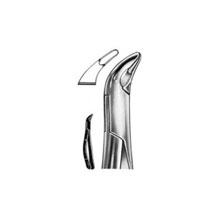 Dental Forceps American Pattern Fig# 151