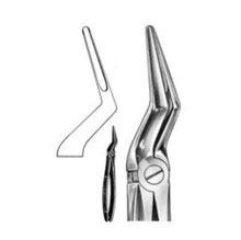Dental Forceps English Pattern Fig#51L