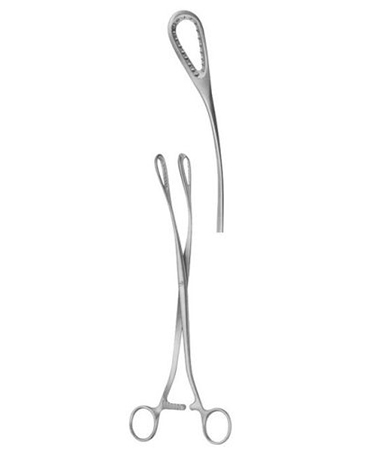 Saenger Scalp Flap Forcep