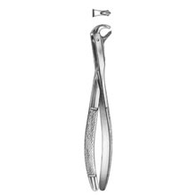 Dental Forceps Universal Patterns Stiksa Fig#1