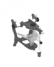 Articulator Anatomical
