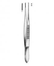 Delicate Forceps