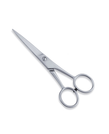 Economy Hair Scissor