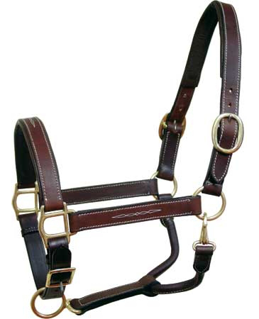 Horse Halter