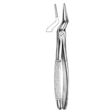 Dental Forceps English Pattern Fig#51L