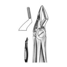 Dental Forceps English Pattern Fig#51S