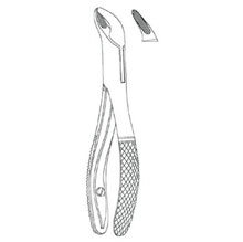Dental Forceps American Pattern Fig. 151-1/2S