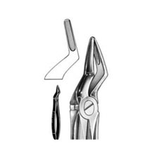 Dental Forceps English Pattern Fig#52