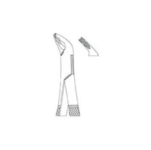 Dental Forceps American Pattern Fig3151 XAS