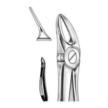 Dental Forceps English Pattern Fig#55