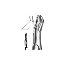 Dental Forceps American Pattern Fig# 210S