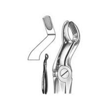 Dental Forceps English Pattern Fig#67a