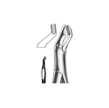 Dental Forceps American Pattern Fig# 210S
