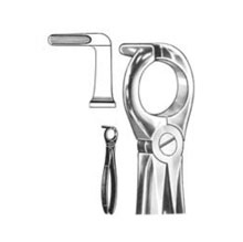 Dental Forceps English Pattern Ryding Fig#68