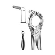Dental Forceps English Pattern Hare Fig#68a