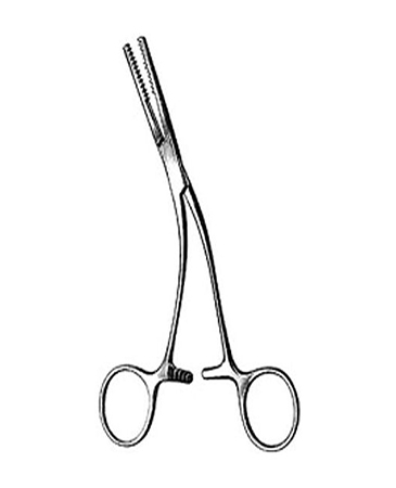 Salyer Bone Holding Forcep