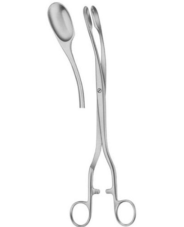 Winter Ovum Scalp Flap Forcep