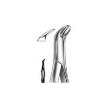Dental Forceps American Pattern Fig# 6
