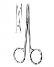 Delicate Scissors Iris