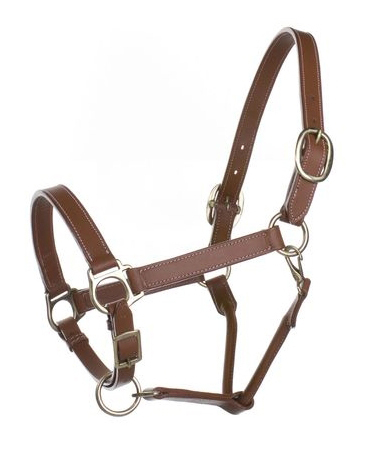 Horse Halter