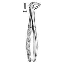 Dental Forceps English Pattern Fig#74