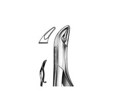 Dental Forceps American Pattern Fig# 287