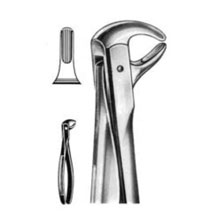 Dental Forceps English Pattern Fig#74D