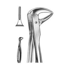 Dental Forceps English Pattern Fig#74N