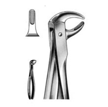 Dental Forceps English Pattern Fig#75