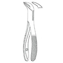 Dental Forceps American Pattern Fig# 23S