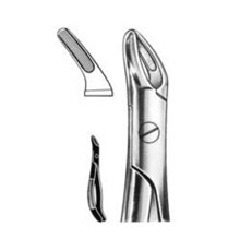 Dental Forceps English Pattern Fig#76