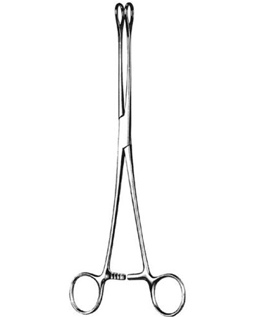 Foerster Forcep Serrated