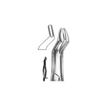 Dental Forceps American Pattern Fig# 10H