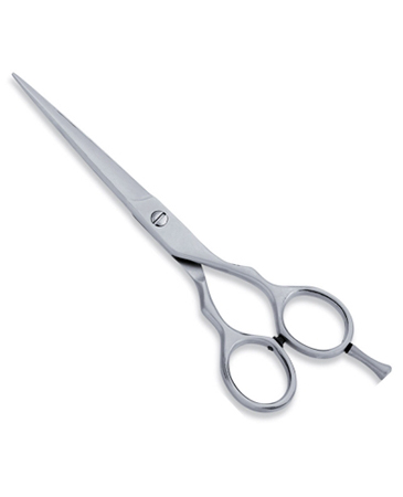 Economy Hair Scissor