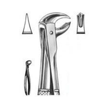 Dental Forceps English Pattern Wood Fig#99