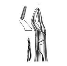 Dental Forceps English Pattern Fig#101