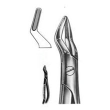 Dental Forceps English Pattern Fig#101A