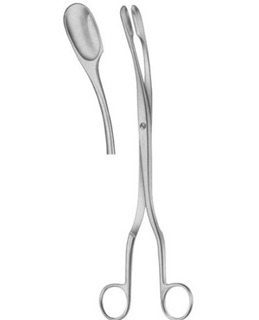 Winter Ovum Scalp Flap Forcep